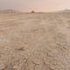 Image for article titled A Guide To Surviving Your First Burning Man